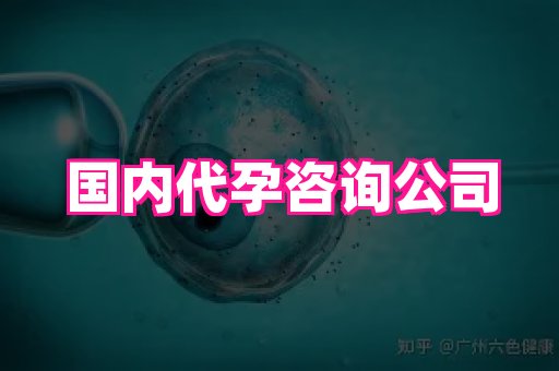 nub孕网 2