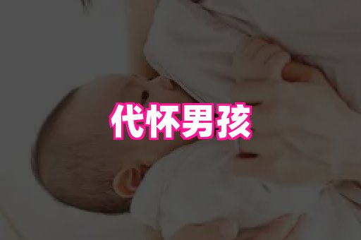 nub孕网 4